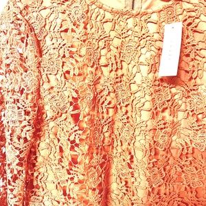 white t shirt dress kmart